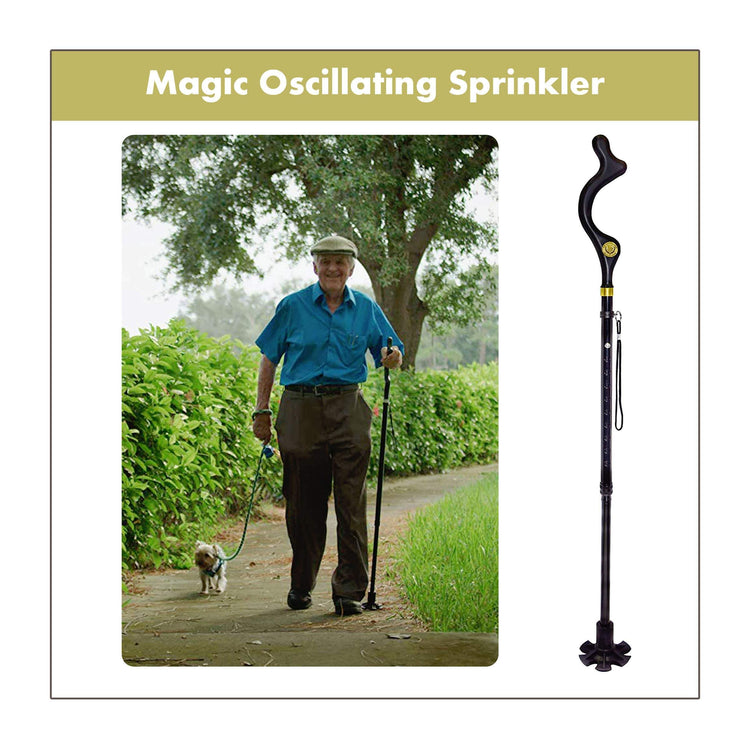 Collapsible Posture Walking Cane