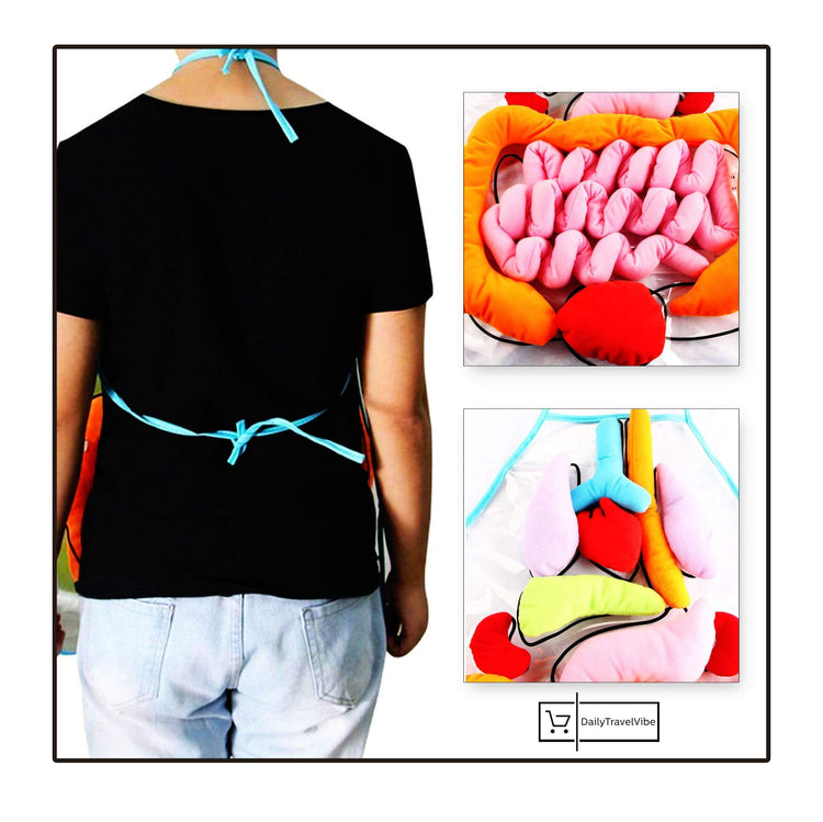 Body Anatomy Apron