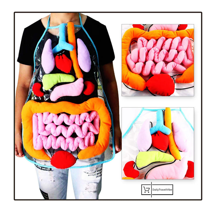 Body Anatomy Apron