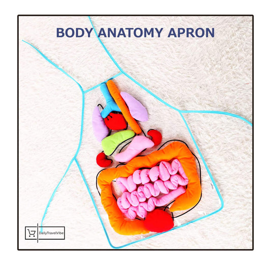 Body Anatomy Apron