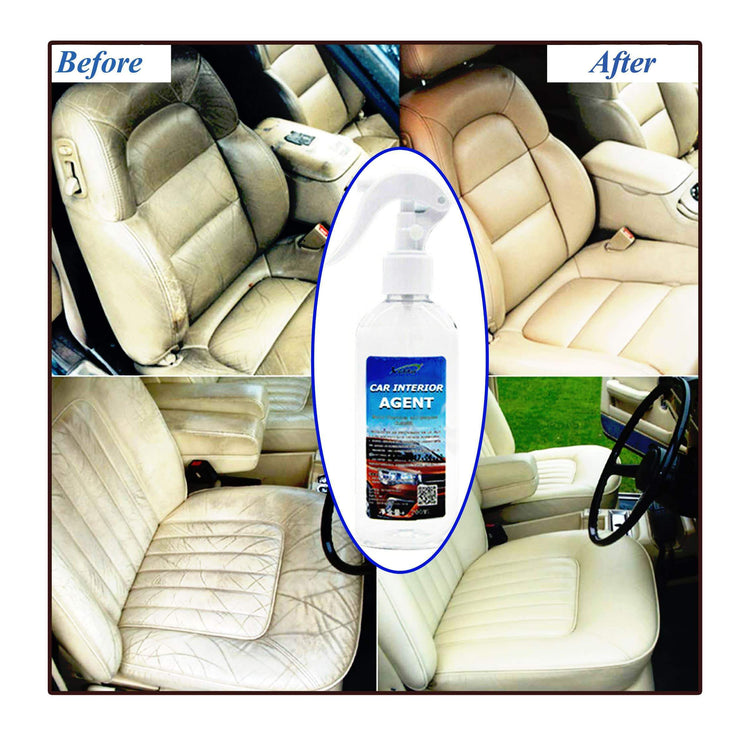 Magic Multi-functional Car Interior Agent