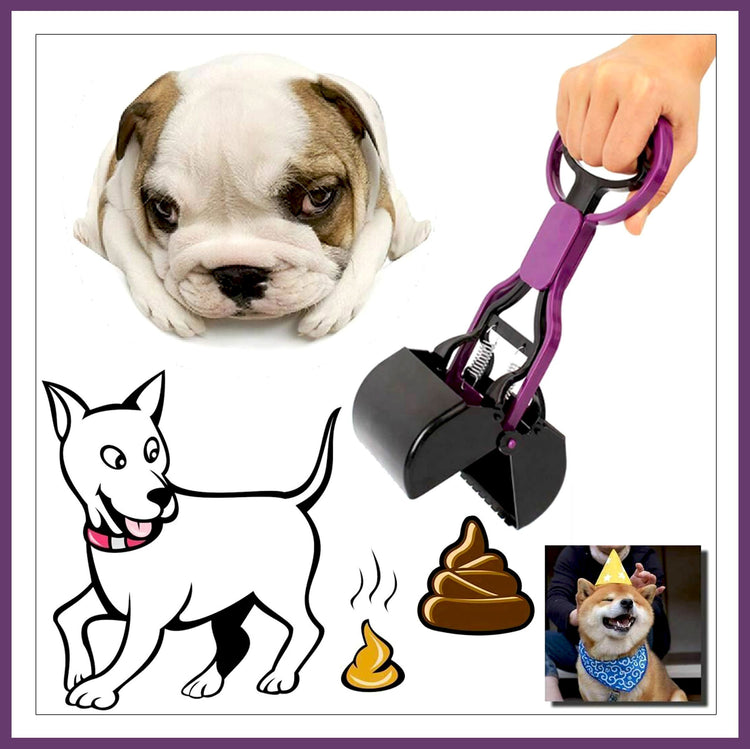 Pet Waste Pooper Scooper