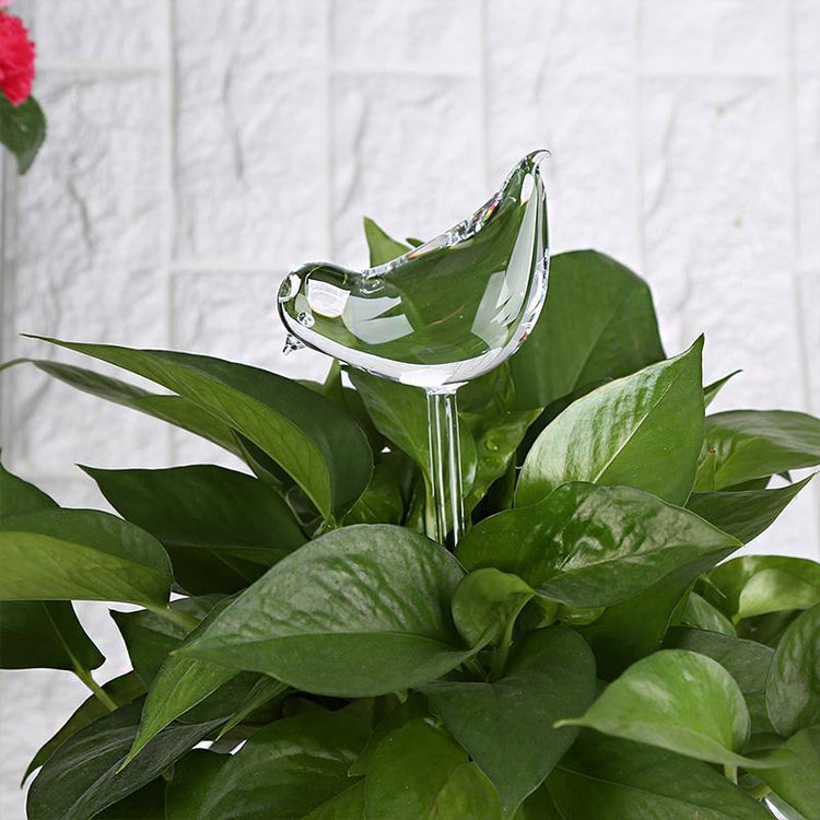 Self-Watering Plant Glass Bulbs(2Pcs)