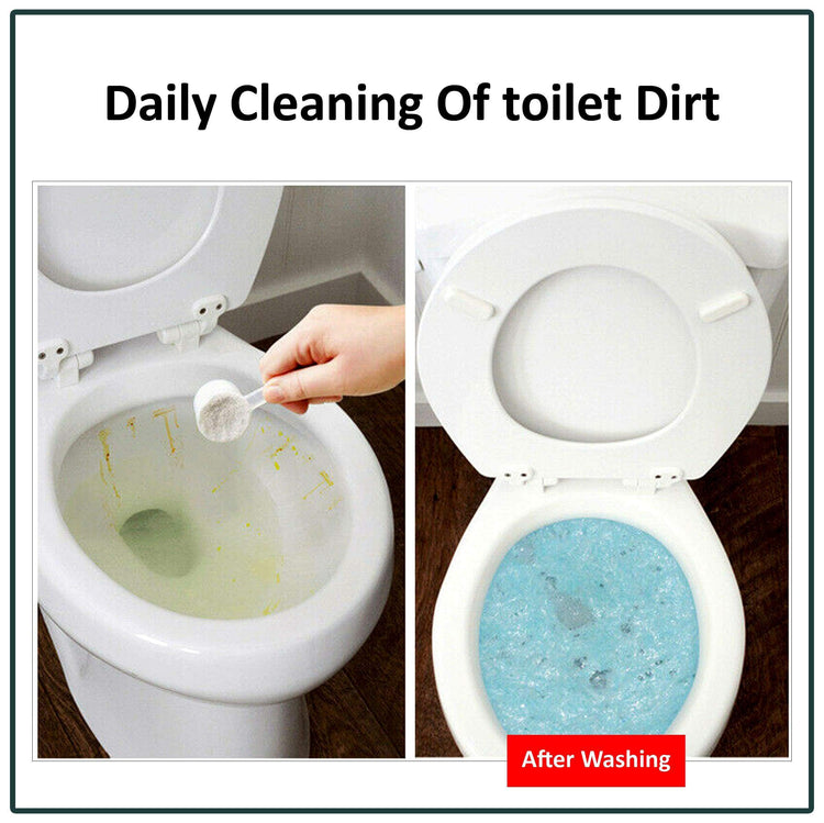 Quick Foaming Toilet Cleaner