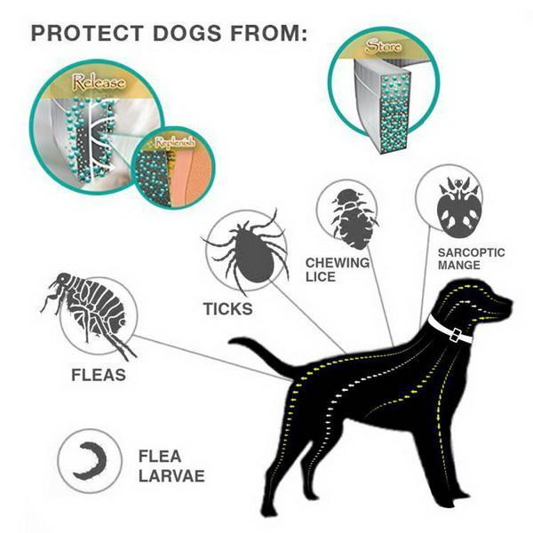 Pet Flea and Tick Collar for Dogs & Cats