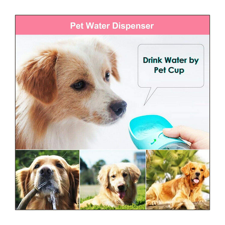 Pet Water Dispenser