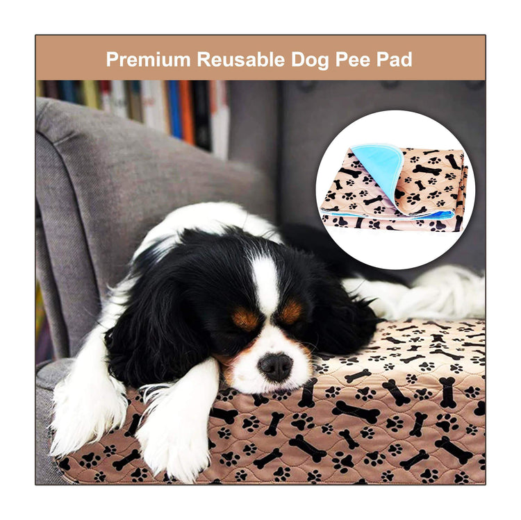 Premium Reusable Dog Pee Pad