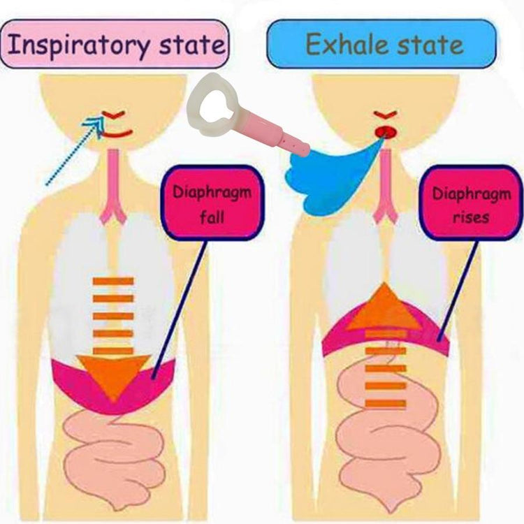 Fat Burner Abdominal Breathing Trainer