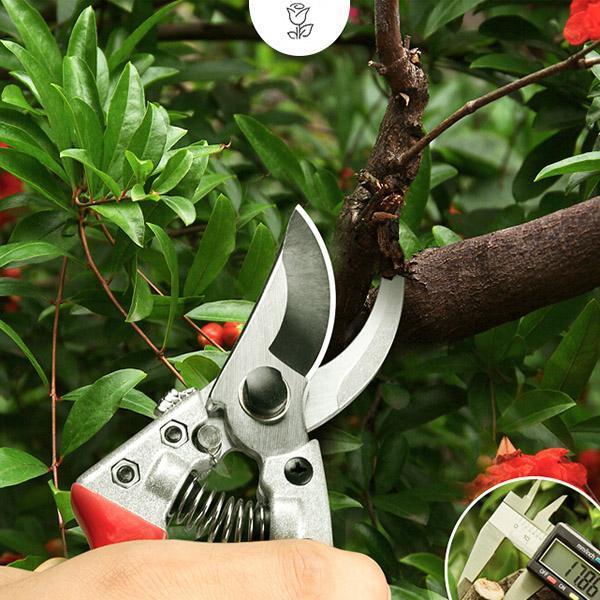 Fruit Tree Pruning Shears