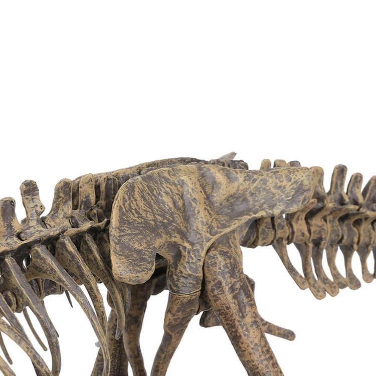 T-Rex Skeleton Model