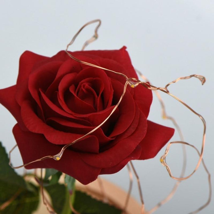 Christmas "Rose in a Dome" Ornament