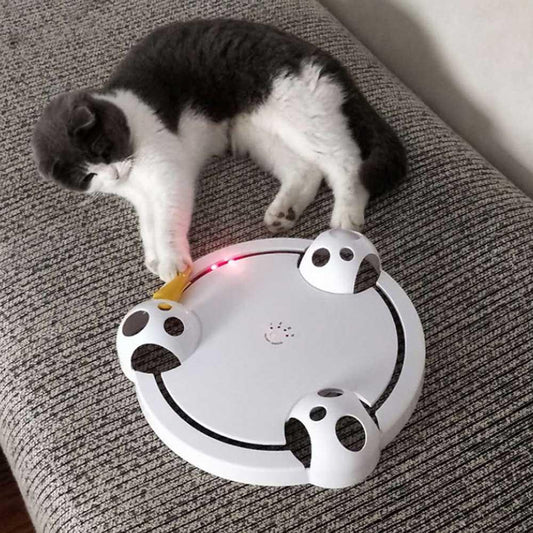 Cat Toy