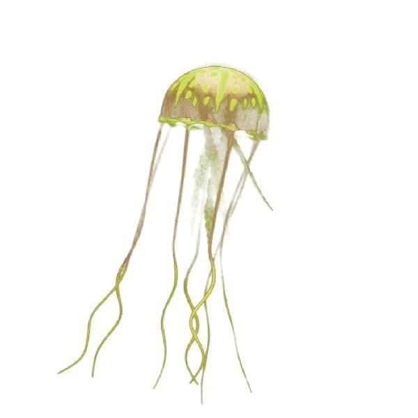 Artificial LED Jellyfish