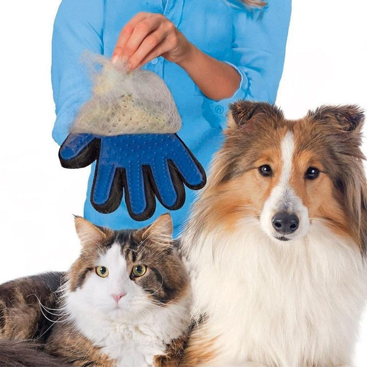 Pet Shedding Gloves