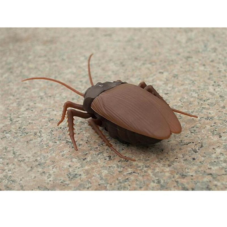 Funny Remote Controlled Cockroach