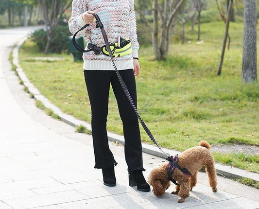 Dog Hands-Free Adjustable Elastic Leash