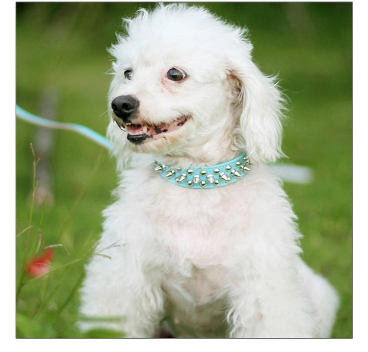 Studded And Spiked Leather Dog Collar