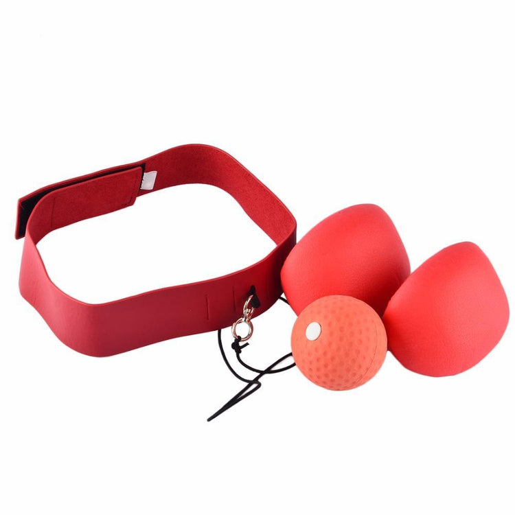 Boxing Speed Ball Set